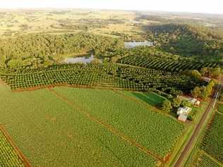 FARMING LAND: 81 Rankin Rd shares a boundary with 115 Lucketts Rd providing a rare opportunity for crop growers. Picture: Contributed