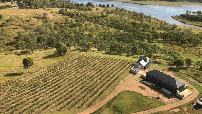 Plans for the new look Dusty Hill Vineyard have been approved by the South Burnett Regional Council.