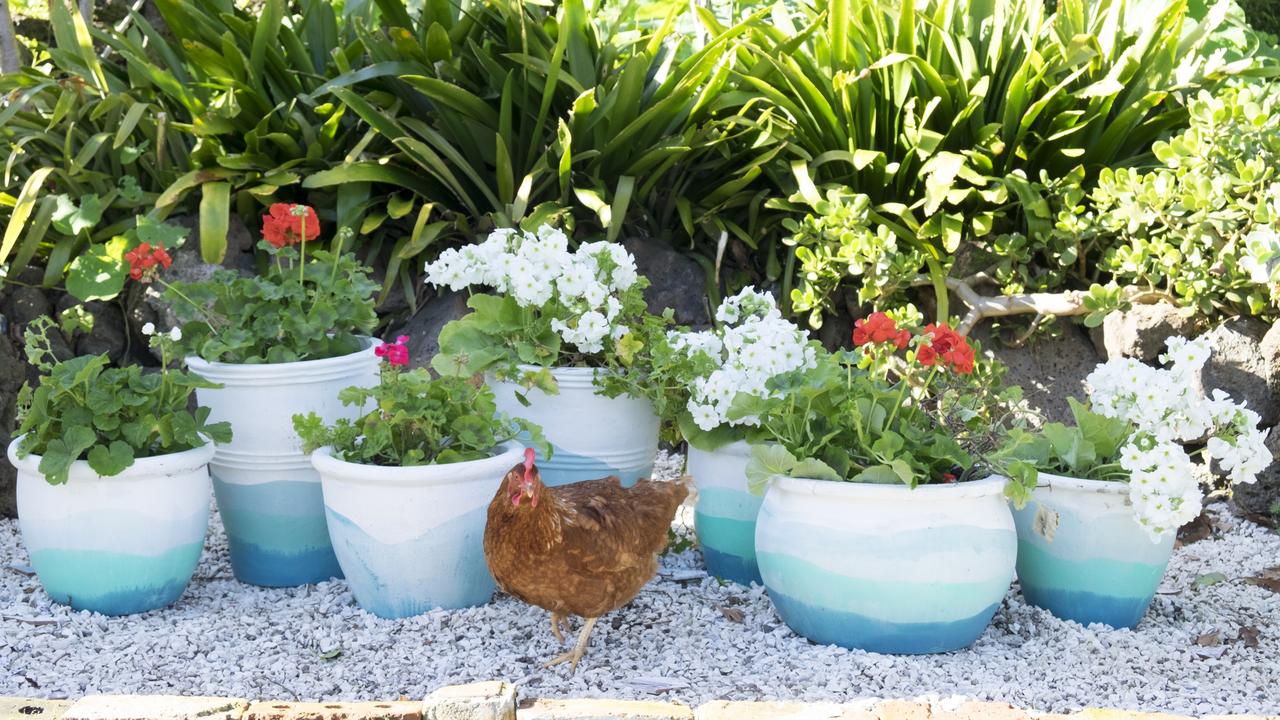 Pots transformed with cheery hues.