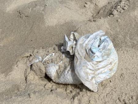 Facebook post captures loaded diaper abandoned on Teewah beach