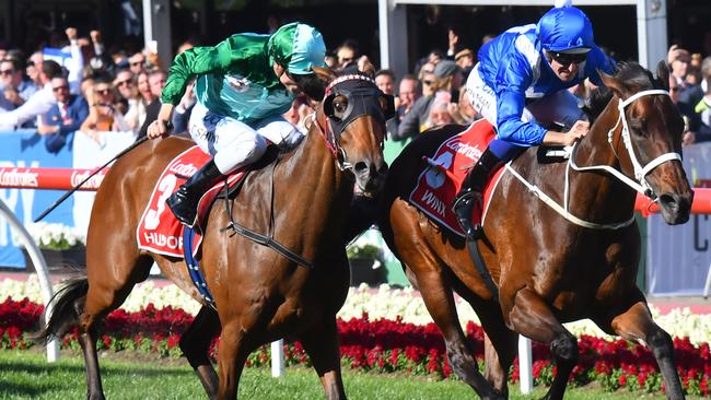 Humidor runs a close second to Winx in the Cox Plate.