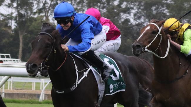 Kanazawa looks set to break through for another win after placing in both runs back from a spell. Picture: Grant Guy