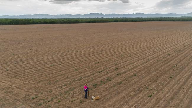 Lorelle McShane views her farm after wrapping up harvest early due to a labour shortage. Picture: Cameron Laird