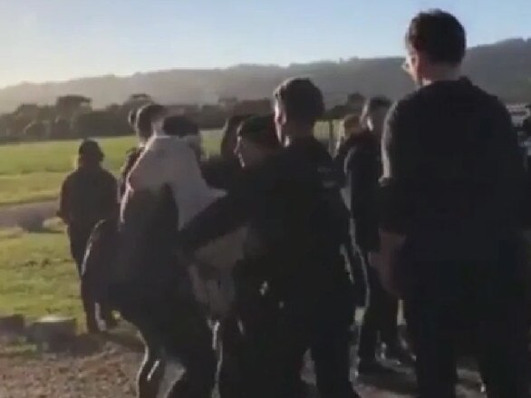 Three goats and a lamb were stolen from Gippy Goat Cafe in December 2018.