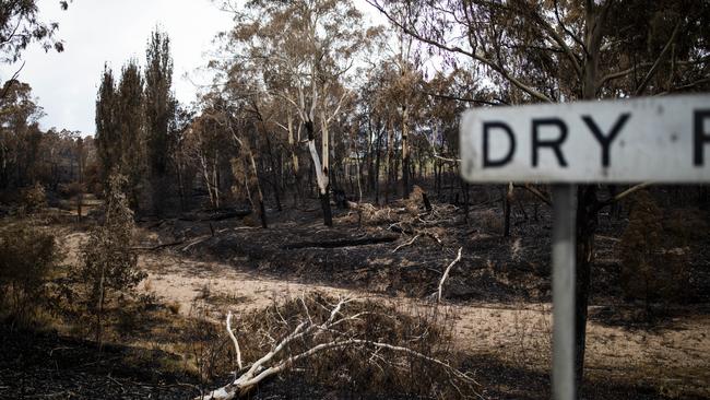 The recent bushfires on the South Coast of NSW were preceded by extended periods of drought, which produced huge amounts of fuel for the fire to burn. Dry River in Quaama, NSW on Thursday 9 January 2020. Picture by Sean Davey/AAP (NO ARCHIVING).