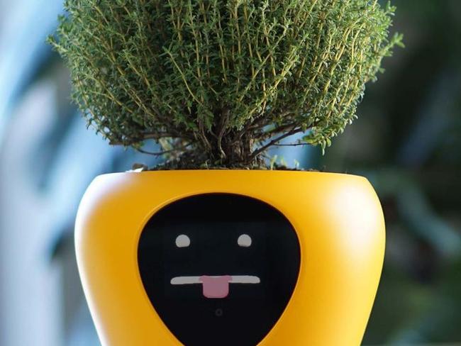 Smart pot's solution to annoying plant problem.