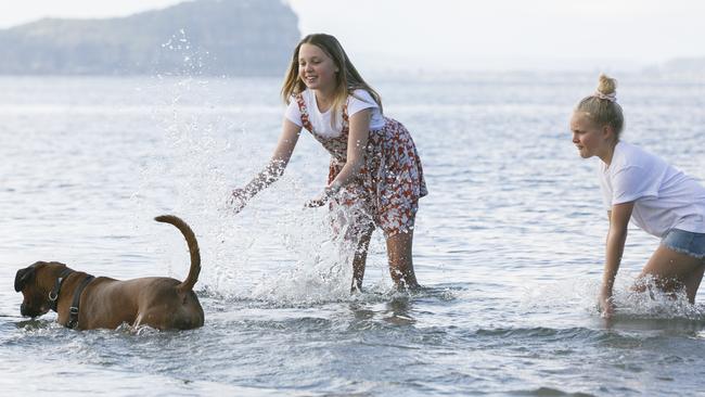 Left, Ava (13) and Indigo (10) with their dog "Ivy" on Station Beach in Palm Beach. It is thought Station Beach will soon be made an off-leash zone.