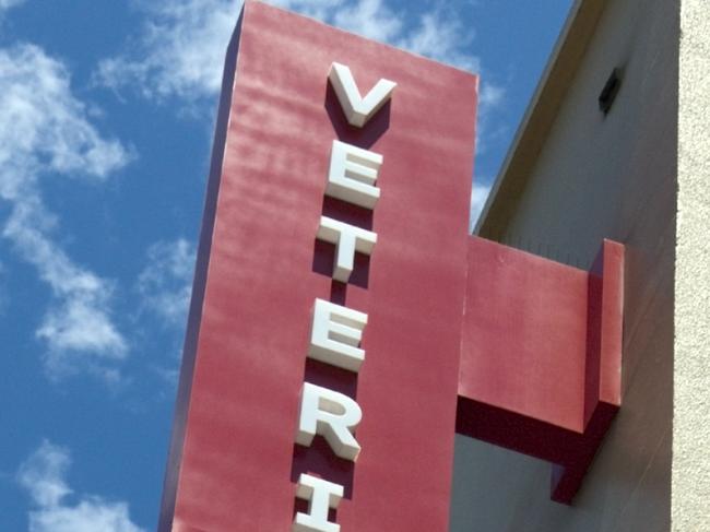 Veterinary Hospital Sign attached to building against blue sky. Vertical.