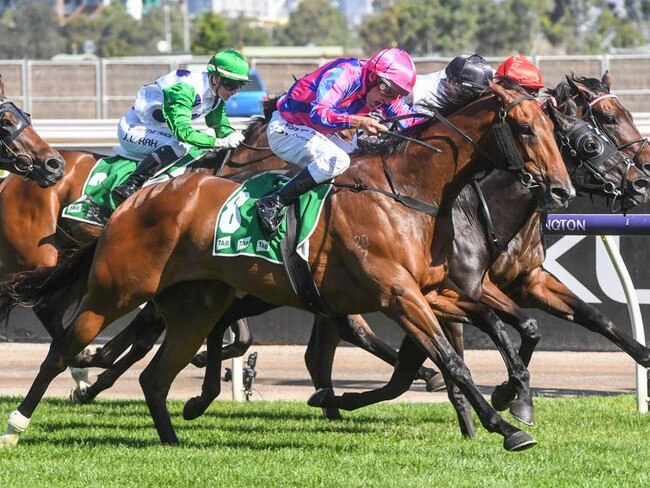 Nicolini Vito ridden by Damien Oliver wins the TAB Trophy at Flemington Racecourse on December 17, 2022 in Flemington, Australia. (Photo by Brett Holburt/Racing Photos)