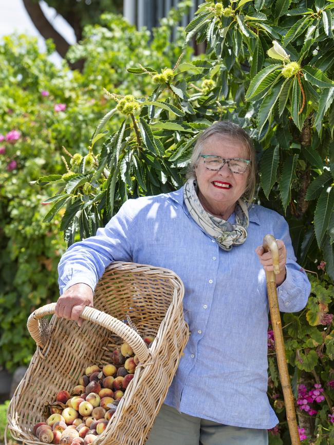 NEWS: KATE SERRUIERKate Serruier runs cattle, sheep, ducks and hens as well as farm accommodation and is all about the four F's: Foraging, Farming, Frugavoring and Fossicking. She is recently widowed and wants to continue her husband's legacy. Pictured: Kate SerruierPICTURE: ZOE PHILLIPS