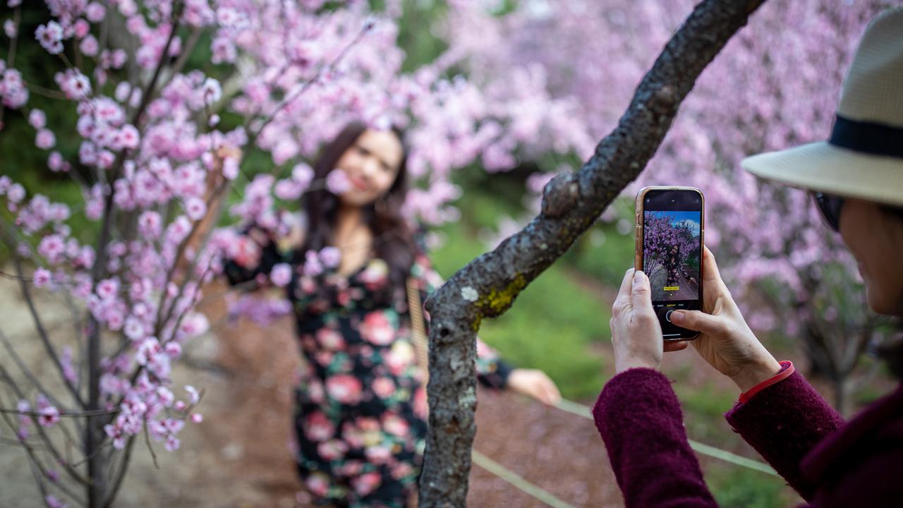 Posing with the posies. Picture: Christian Gilles