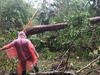 First images from Cow Bay reveal extent of damage