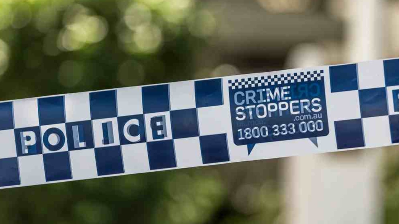 Female cop allegedly stabbed multiple times during road stop