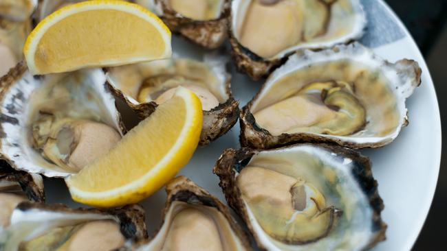 Raw oysters in the shell. Photo: Rob Wright