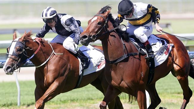 Jimmy Byrne drives Enquare (right) to the finishing line at Doomben. Picture: Jono Searle