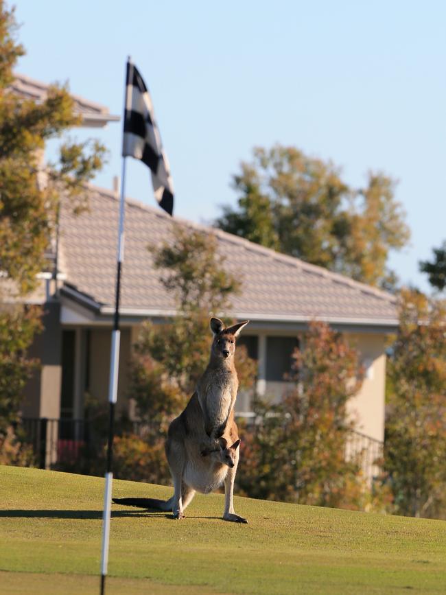 A detailed review into the application is underway. Photo: Bruce Long