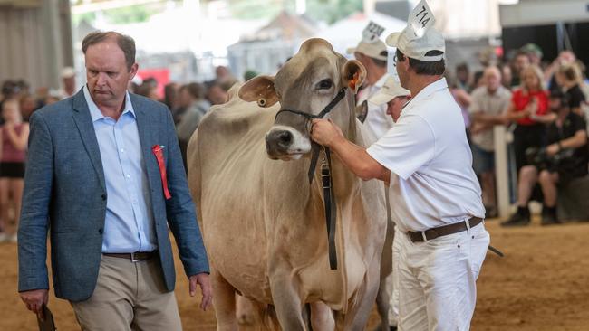 International dairy week at Tatura.