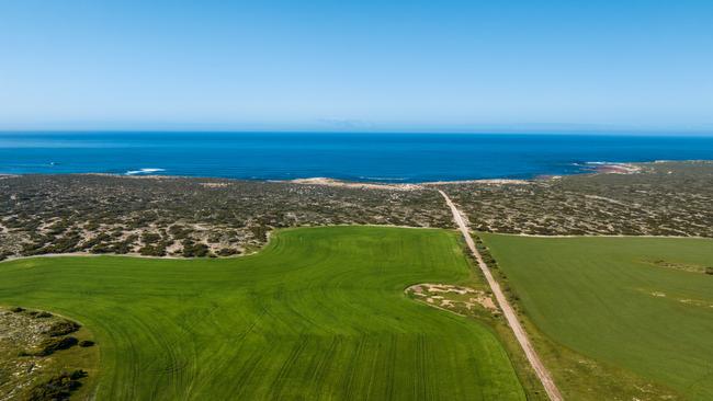 The Eyre Peninsula property stretches across 1117ha. Picture: Supplied by CBRE