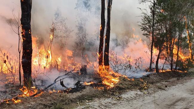 RFS volunteers on Fraser Islander performing a backburning operation near Happy Valley on Monday, December 7, 2020. Picture: Damian Huxham