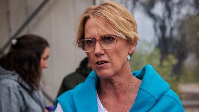 Goldstein MP Zoe Daniel, above, says ‘I have taken expert advice and asked the AEC to consider whether a full recount is appropriate’. Picture: NewsWire/ Nadir Kinani