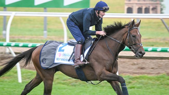 West Wind Blows is one of the leading Caulfield Cup chances.