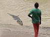 NT News’ most amazing croc videos