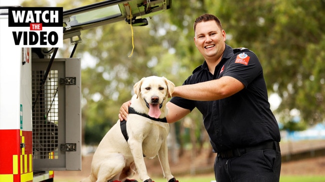 NSW canine firefighter