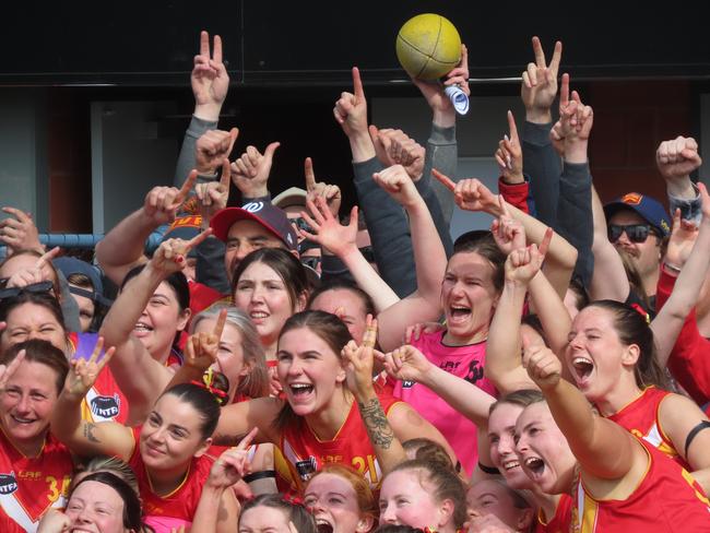 Meander Valley's players celebrate with their fans after the grand final win. Picture: Jon Tuxworth