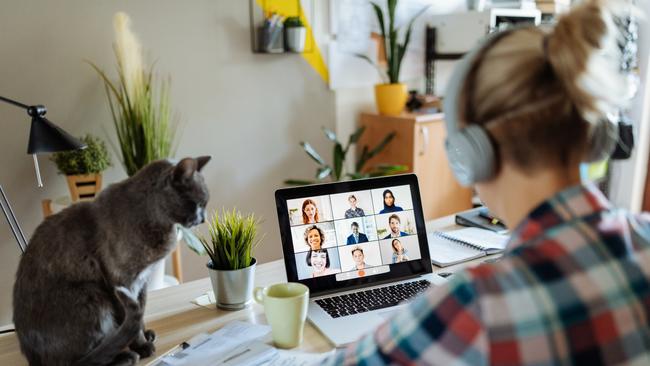 Women living in the Greater Hobart region are more likely to be working from home than men. Picture: iStock