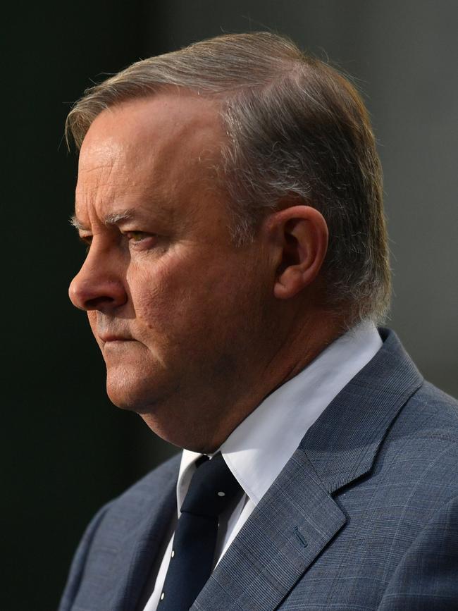 Anthony Albanese. Picture: AAP