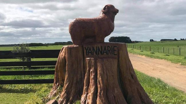 The ram statue before its head was sawn off. Picture: Supplied