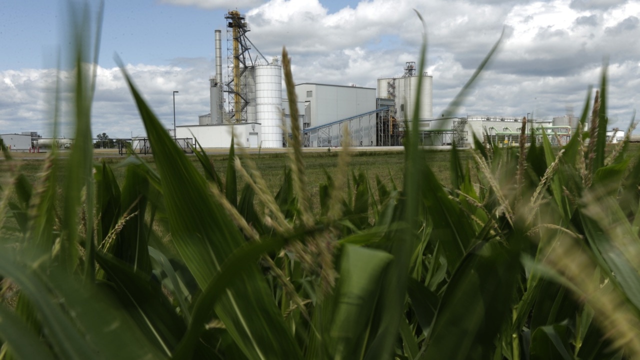 Calls for a contingency plan as Australia's petrol supply runs low