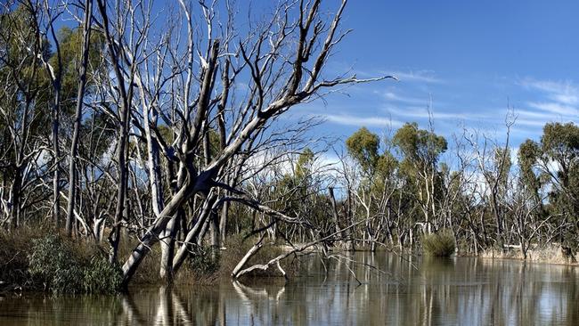 Wimmera River.