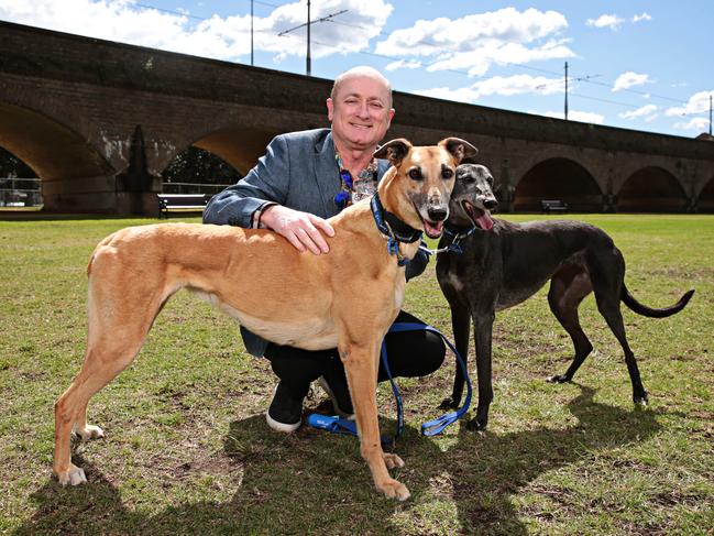 Parcel (brown dog), Dave Faulker and Fiddle (black dog). Picture: Adam Yip