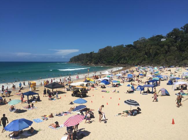 ‘Never going back’: What tourists are saying about Noosa