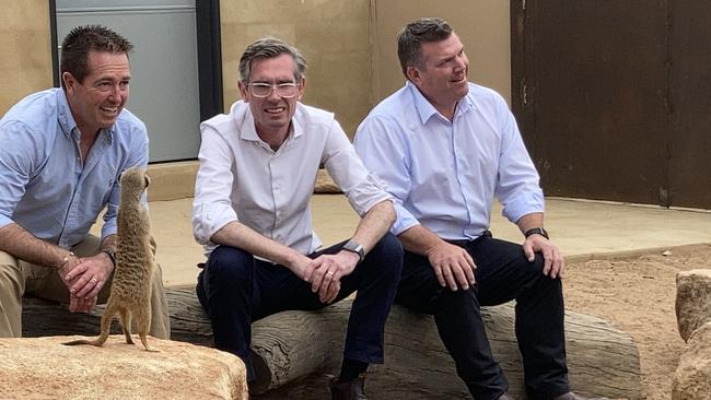 Deputy Premier Paul Toole, NSW Premier Dominic Perrottet and Dubbo Nationals MP Dugald Saunders with meerkats at Taronga Western Plains Zoo. Picture: Ryan Young