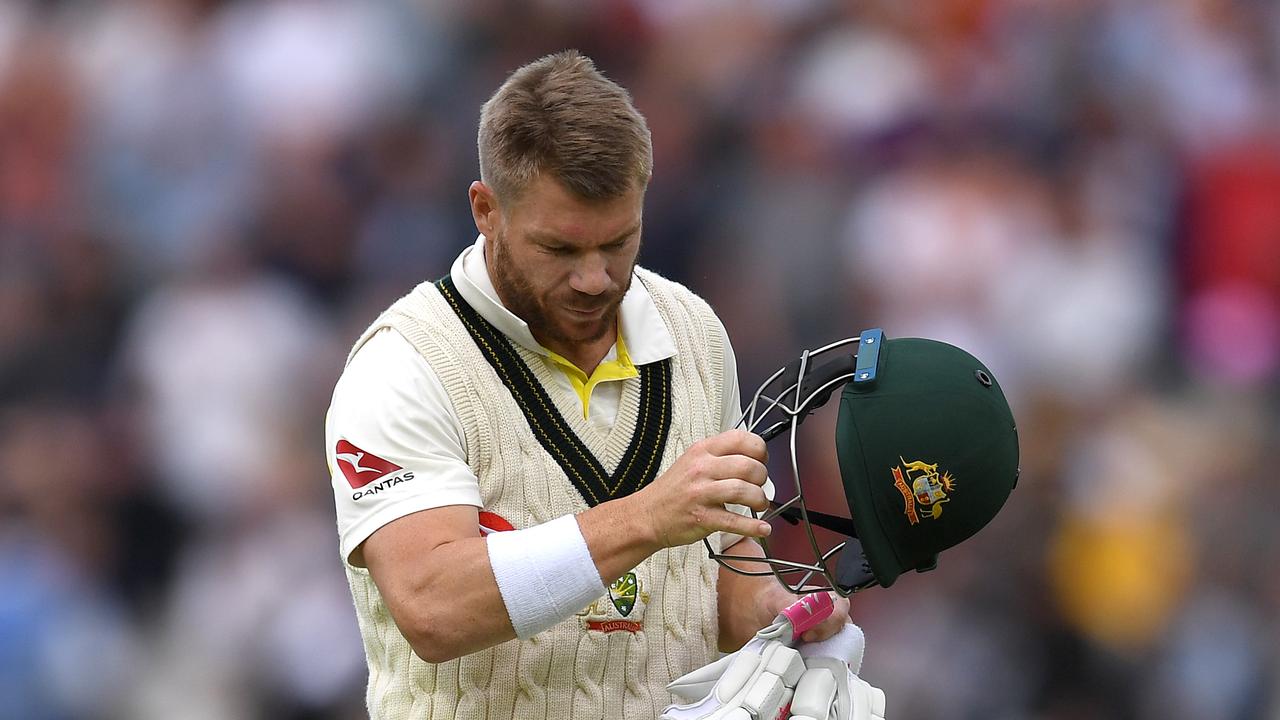 David Warner wife suggested the Aussie star is yet to tell the full story over the ball tampering scandal.