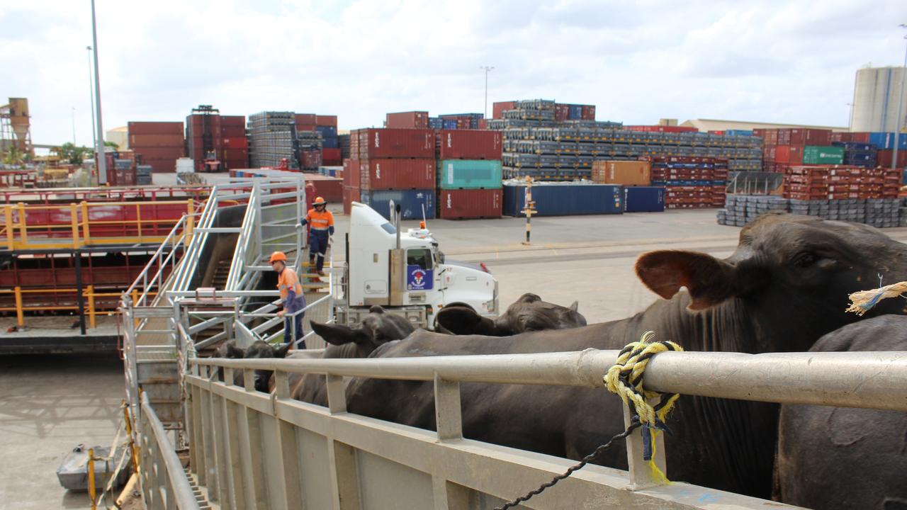 Townsville Port shipped more cattle overseas than any other port in the ...