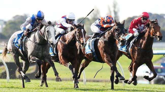 Miss Tarzy (red) should improve from the run on Saturday behind stablemate Arqana (grey). Picture: Scott Barbour / Racing Photos