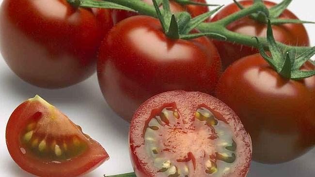 Tomatoes and roses in pots