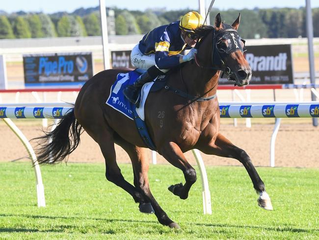 Girl ridden by Blake Shinn wins the Hygain Winners Choice BM64 Handicap at Sportsbet-Ballarat Racecourse on February 14, 2024 in Ballarat, Australia. (Photo by Pat Scala/Racing Photos via Getty Images)