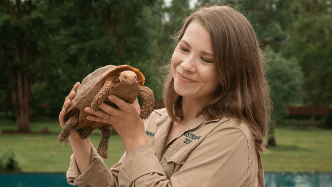 Bindi Irwin shares sad update on ‘crippling’ endometriosis journey