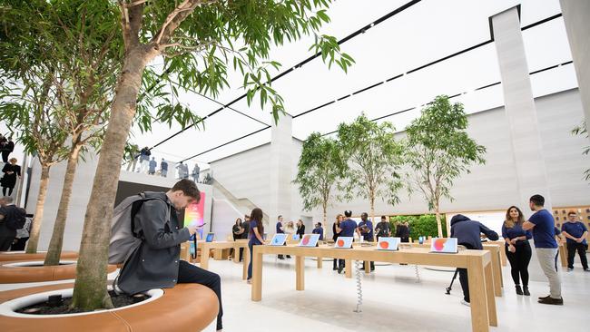 The Apple store in London with the oversized pot plants that are now patented. Picture Leon Neal.