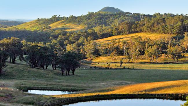 Be sure to enjoy the beautiful scenery surrounding the wineries.