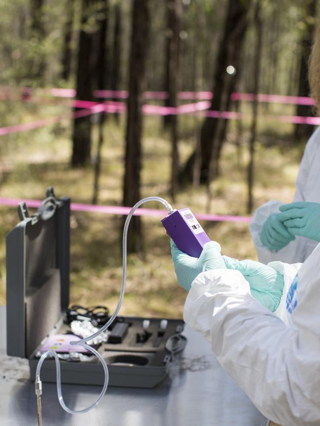 Researchers studying the chemical profile of human decomposition odour to further improve the accuracy of cadaver detection dogs. Picture: Anna Zhu