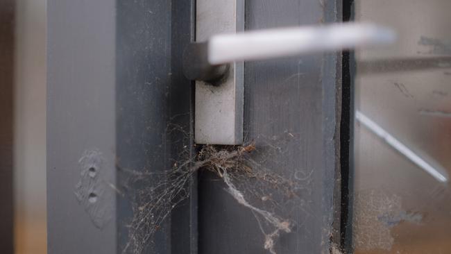 Cobwebs across a door on Gherinhap St. Picture: Shaun Viljoen