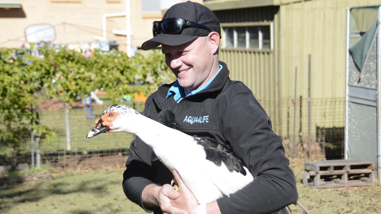 David Athorn with Dwayne the duck, who saved the day by chasing away a would-be trespasser.