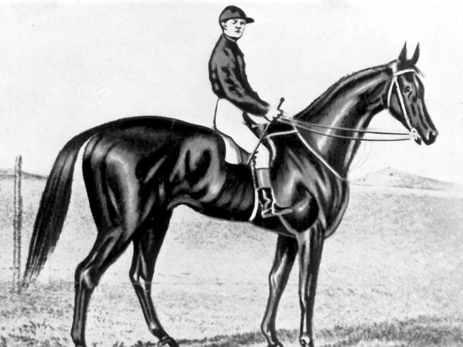 An illustration of Archer, the winner of the 1861 and 1862 Melbourne Cups. Photo: File