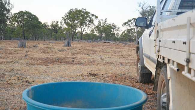 The poly tub with loose lick on the farm at Greymare. Picture: Gerard Walsh