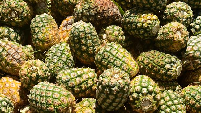 The pineapple farm at 84 Samsonvale Rd, Strathpine has been sold to developer Peet for $18.5 million. Picture: Evan Morgan